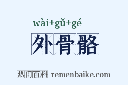 外骨骼是什么意思的图片